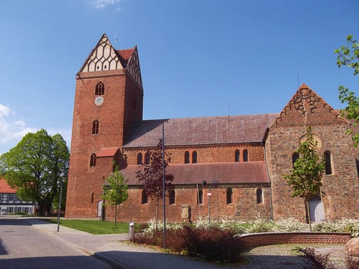 St. Marien , links die mächtige alte Luthereiche