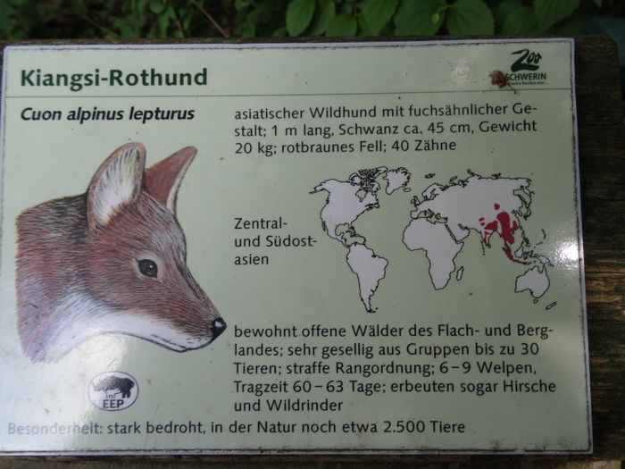 Nutzerbilder Zoologischer Garten Schwerin gGmbH