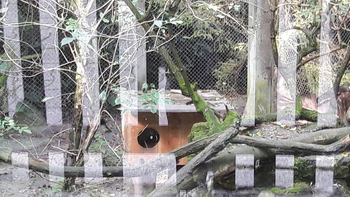 Nutzerbilder Heimat-Tierpark Olderdissen