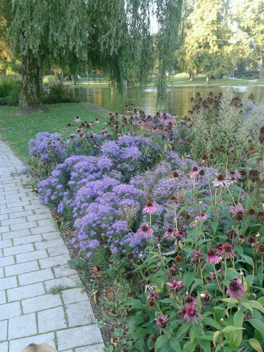 Nutzerbilder Hotel am Kurpark