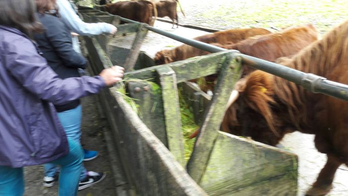 Nutzerbilder Heimat-Tierpark Olderdissen