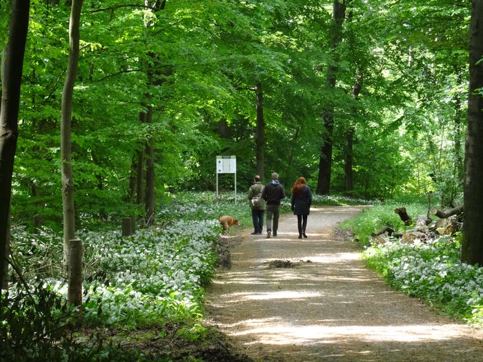 Wanderung auf dem Kammweg