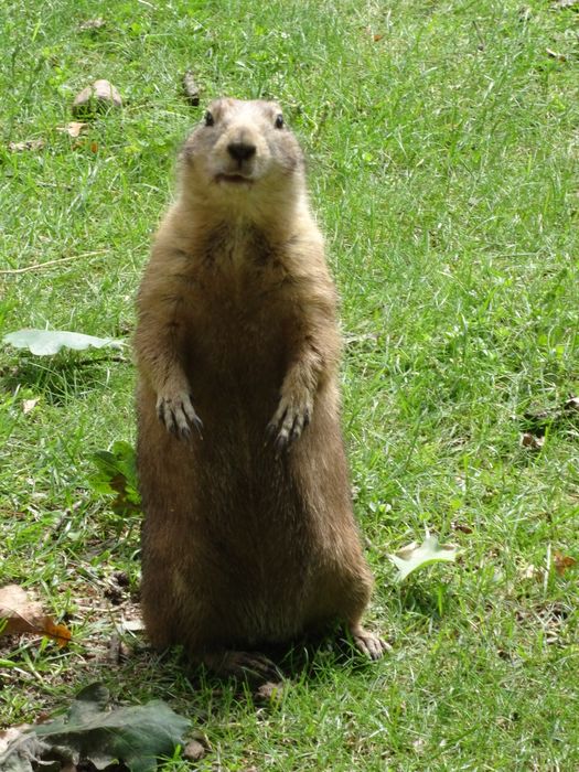 Nutzerbilder Zoologischer Garten Schwerin gGmbH