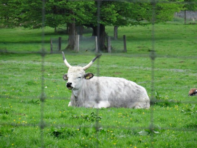 Nutzerbilder Tierpark Sababurg