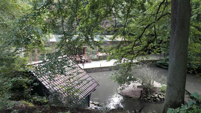 Nutzerbilder Heimat-Tierpark Olderdissen