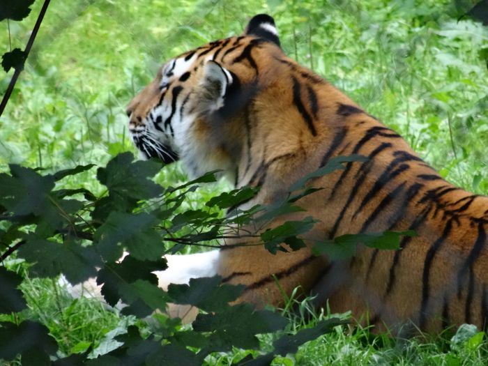 Nutzerbilder Zoologischer Garten Schwerin gGmbH