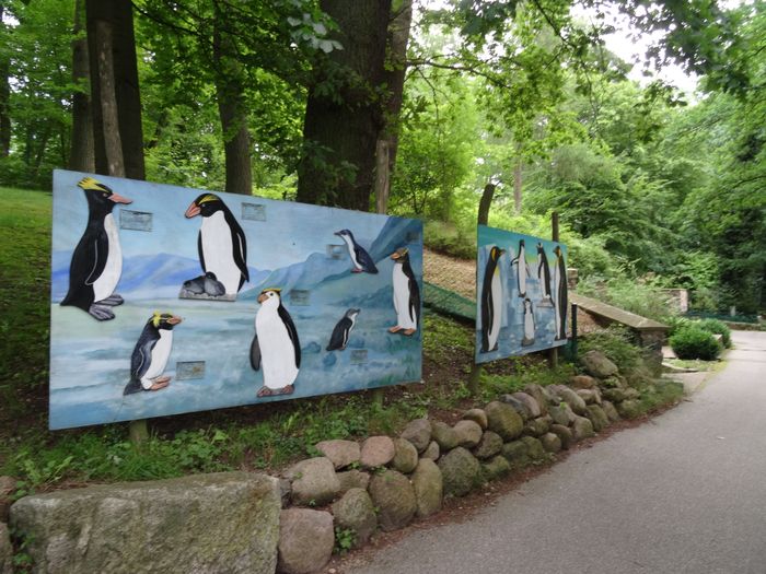 Nutzerbilder Zoologischer Garten Schwerin gGmbH