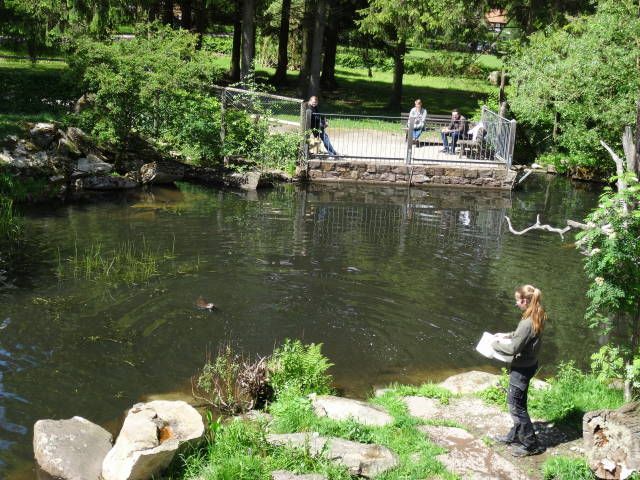 Nutzerbilder Tierpark Sababurg