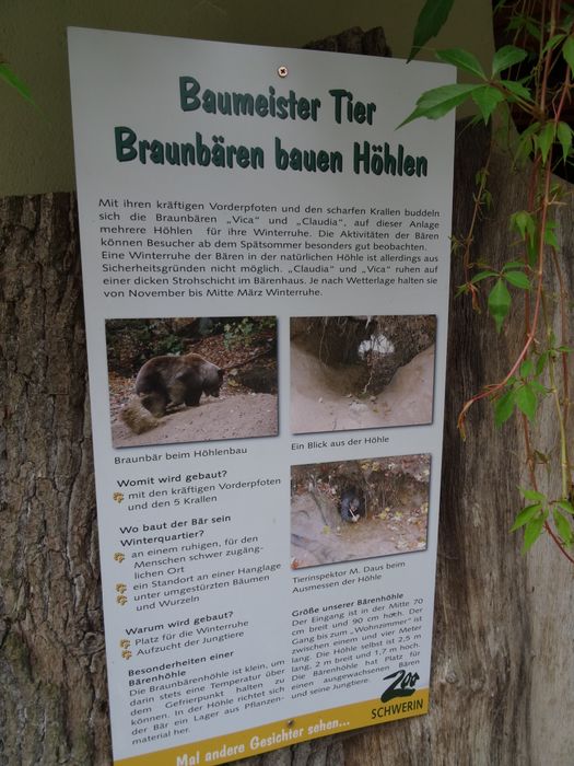 Nutzerbilder Zoologischer Garten Schwerin gGmbH