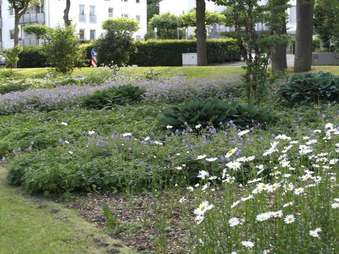 Nutzerbilder Hotel am Kurpark