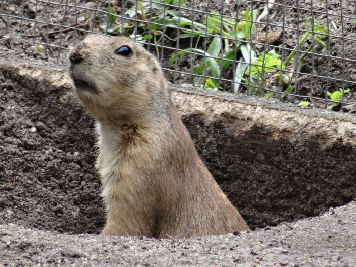 Nutzerbilder Zoologischer Garten Schwerin gGmbH