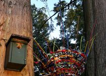 Bild zu Spielplatz in den Anlagen an den Nordschulteichen /Uffhäuser Straße