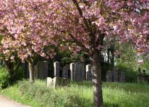 Bild zu Hauptfriedhof Frauenberg