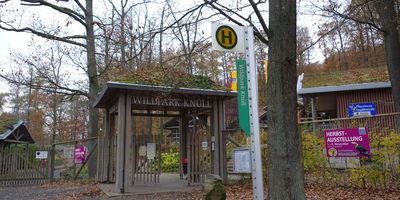 Naturzentrum Wildpark Knüll in Homberg an der Efze