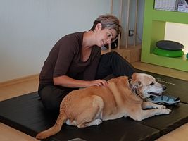 Bild zu Tierphysiotherapie Hund & Pferd, Tierheilpraxis Maria Stein