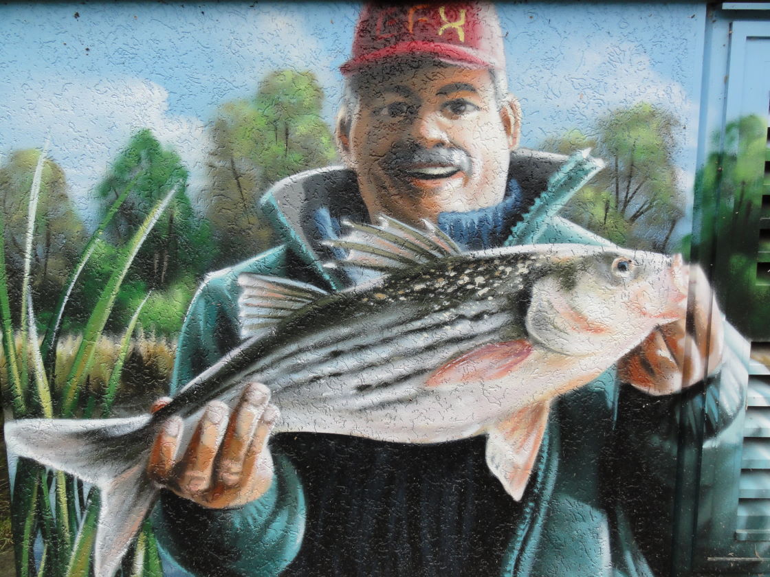 Tobias, der Inhaber der Fischerei als Grafitty an einem Stromkasten in Hohen Viecheln