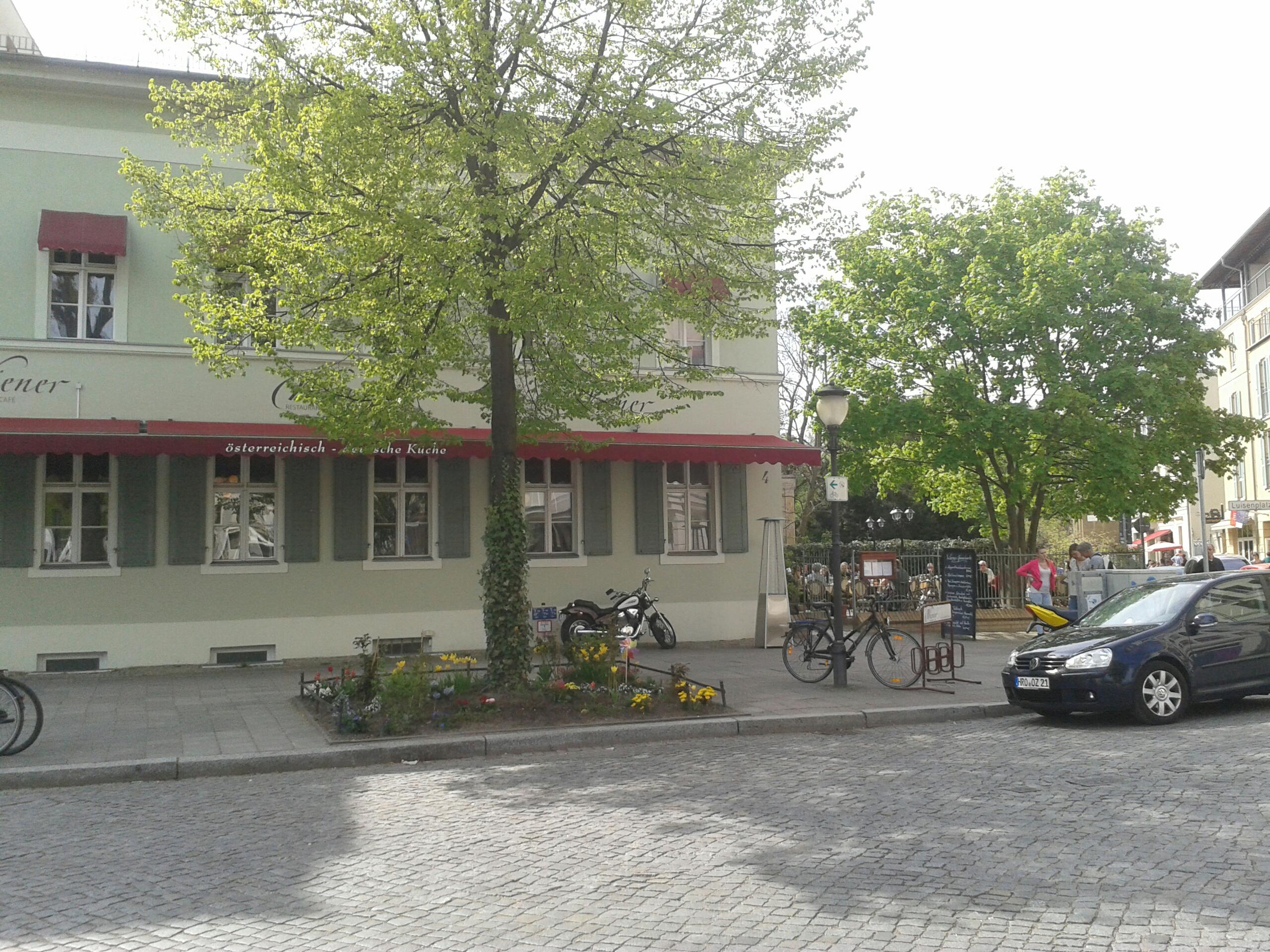 Bild 18 Wiener Restaurant & Café in Potsdam