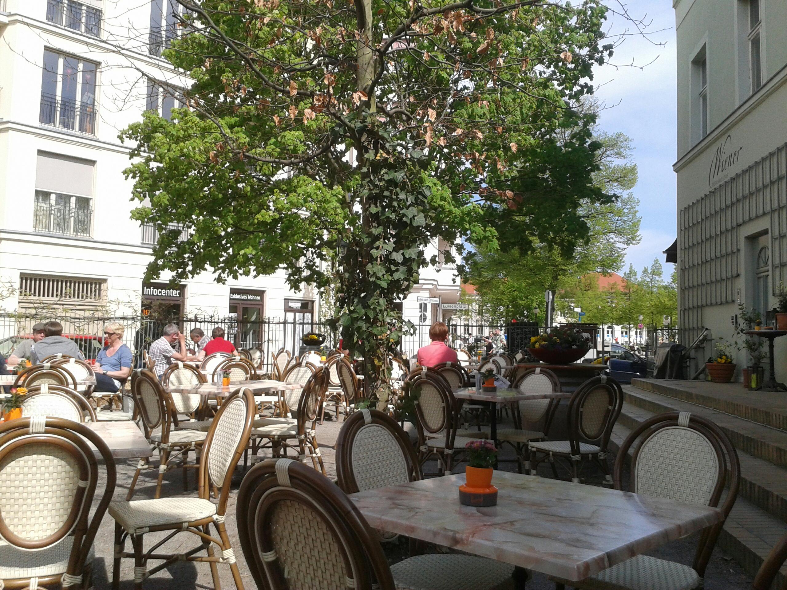 Bild 20 Wiener Restaurant & Café in Potsdam