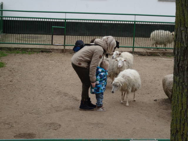 Bild 31 Tierpark Wismar in Wismar