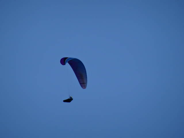 Paraglider am Wank