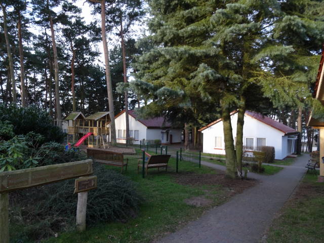 Bild 50 Waldsiedlung im Ferienpark in Dobin am See
