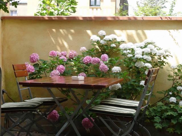 der Biergarten - ein Wohlfühloase unter schattigen Bäumen