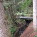 Lochbachklamm und Premiumwanderweg Lochbachpfad in Knüllwald