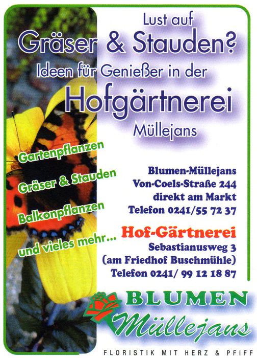 Müllejans Herbert Blumen