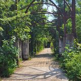 Baum & Zeit Baumkronenpfad Beelitz - Heilstätten in Beelitz in der Mark