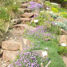 Botanischer Garten in Halle an der Saale