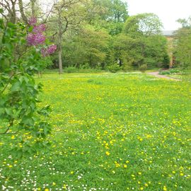 Botanischer Garten in Halle an der Saale