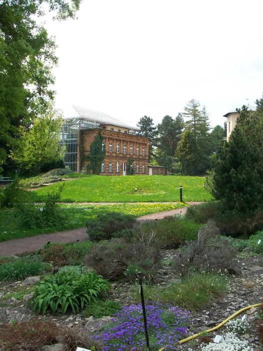 Nutzerbilder Botanischer Garten