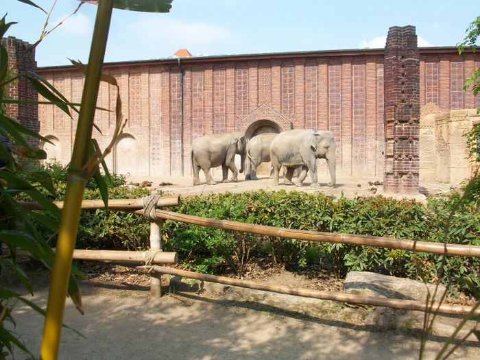 Nutzerbilder Marché Patakan (im Zoo Leipzig)