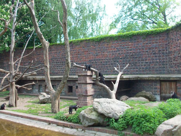 Nutzerbilder Marché Patakan (im Zoo Leipzig)