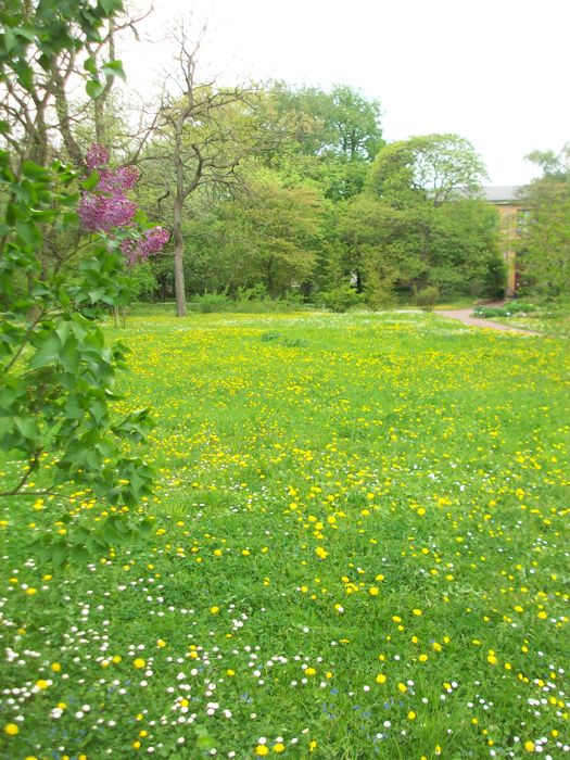 Nutzerbilder Botanischer Garten