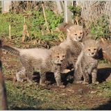 Zoo in Landau in der Pfalz