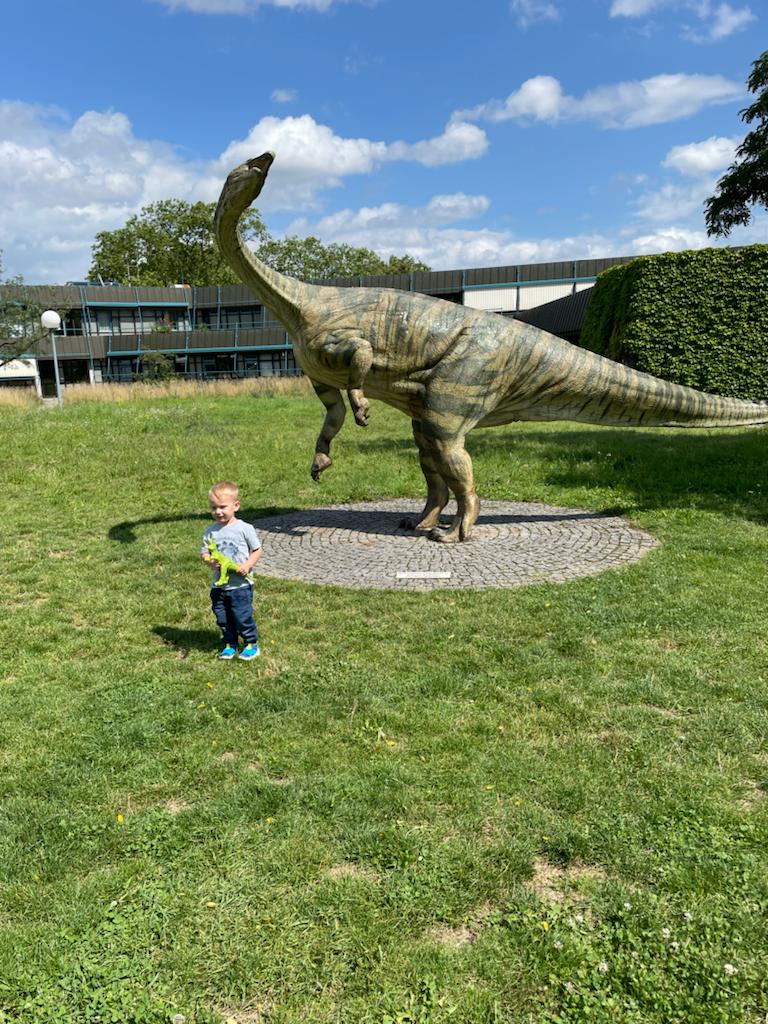 Bild 3 Staatliches Museum für Naturkunde Stuttgart in Stuttgart