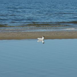 Am Strand