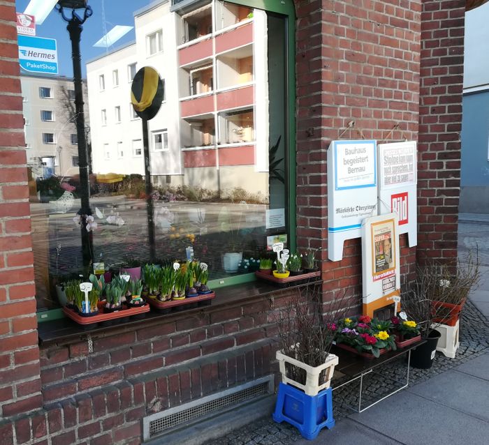 Nutzerbilder Brondke Carola Blumengeschäft