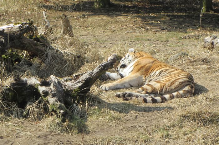 Nutzerbilder Zoo Eberswalde