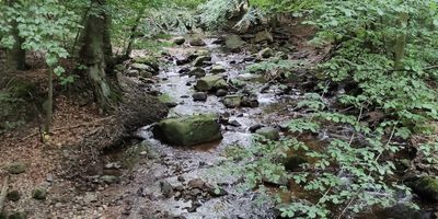 Nationalpark Harz - Der Brocken in Oberharz am Brocken