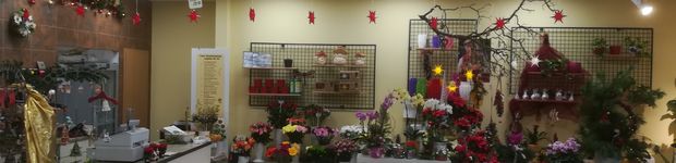 Bild zu Blumen Kunze - Blumenshop im Einkaufscenter