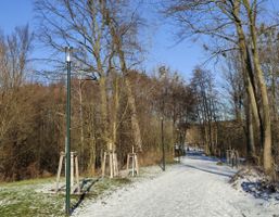 Bild zu Panke Park Bernau