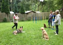 Bild zu Active Dog Hundeschule Löb Wiesbaden - Mainz - Rheingau