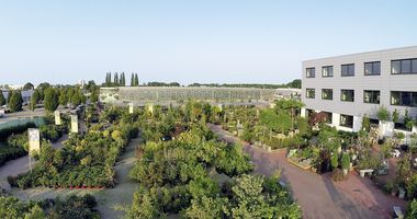 Stanze – Mein Gartencenter in Hemmingen bei Hannover