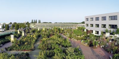 Stanze – Mein Gartencenter in Hemmingen bei Hannover