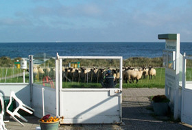 Deichterrassen: Blick von der Terrasse auf die Ostsee und tierische Besucher......