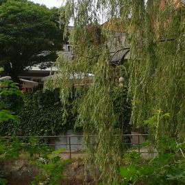 Café Ambiente in Dannenberg an der Elbe