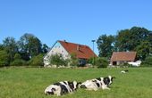 Nutzerbilder Witte Andreas Fleischerei