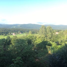 Blick vom Zimmer über den BayrWald